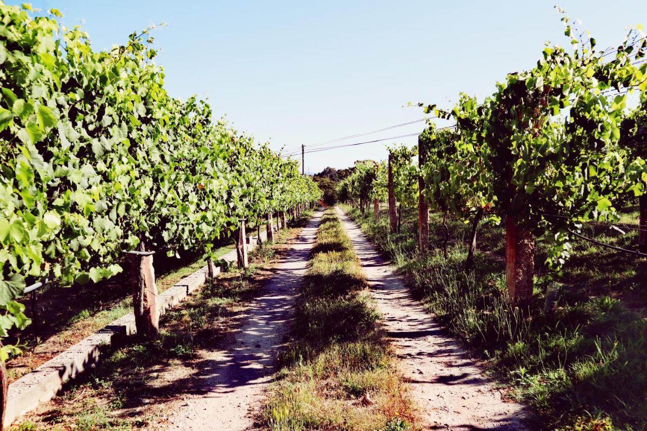 Quinta De Real Villa Valenca Dış mekan fotoğraf