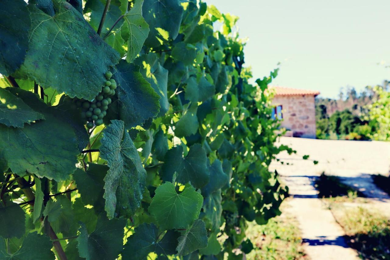 Quinta De Real Villa Valenca Dış mekan fotoğraf