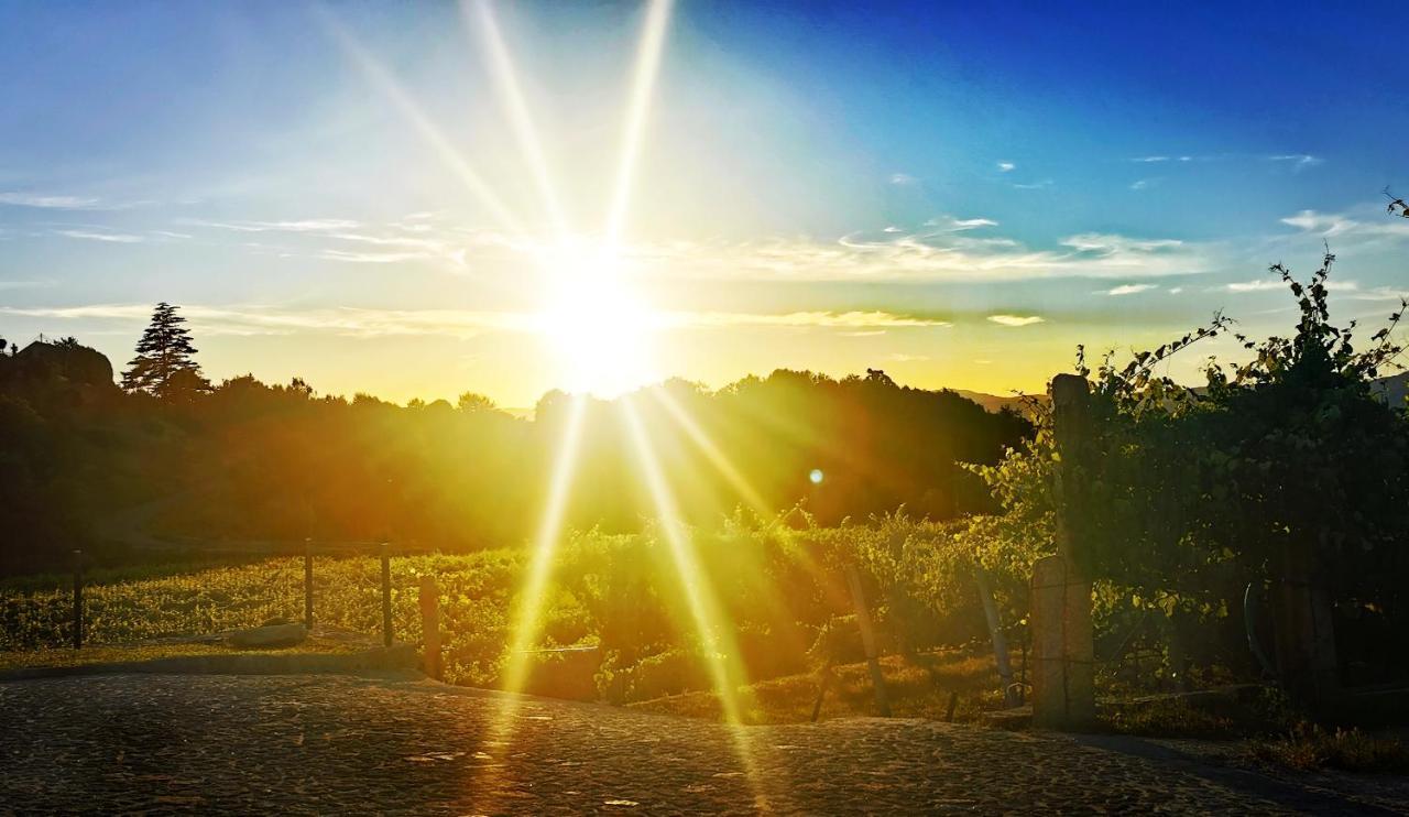 Quinta De Real Villa Valenca Dış mekan fotoğraf